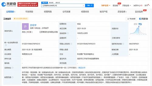 蘇寧易購?fù)顿Y成立科技公司,經(jīng)營范圍含互聯(lián)網(wǎng)數(shù)據(jù)服務(wù)